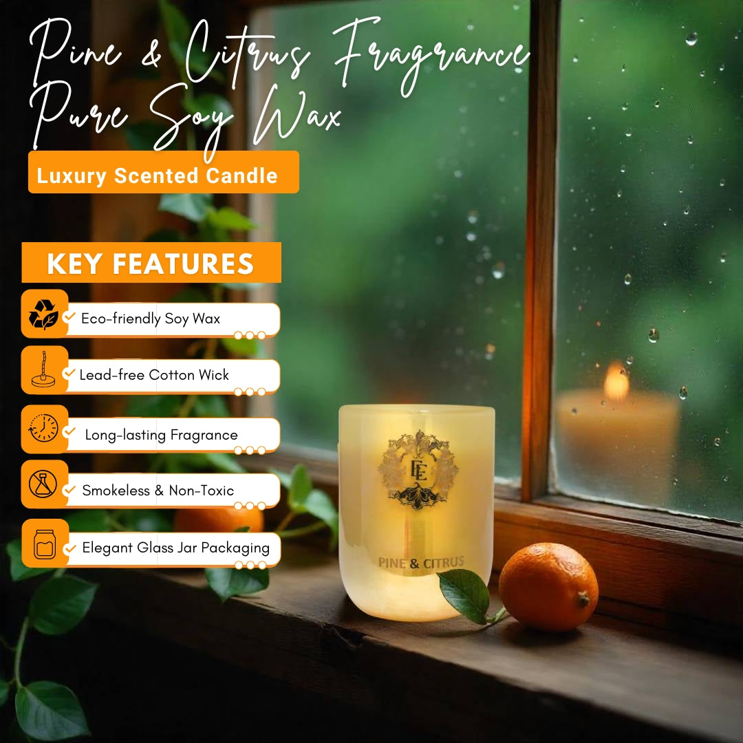PINE & CITRUS Fragrance Pure Soy Wax Luxury Scented Candle | 100% Natural Wax & Lead Free Cotton Wick | Smokeless & Non-Toxic Candles | 250gm