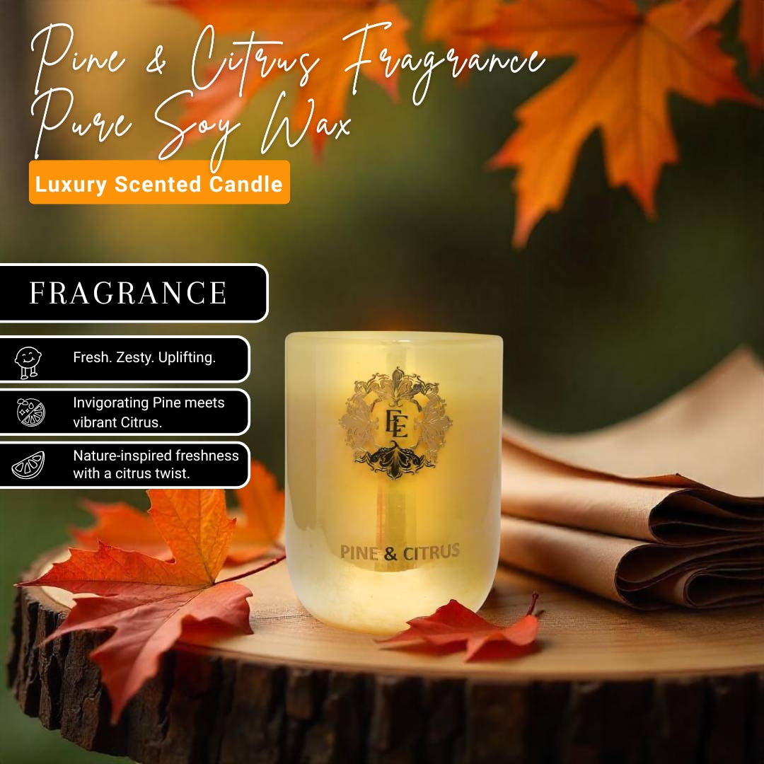 PINE & CITRUS Fragrance Pure Soy Wax Luxury Scented Candle | 100% Natural Wax & Lead Free Cotton Wick | Smokeless & Non-Toxic Candles | 250gm